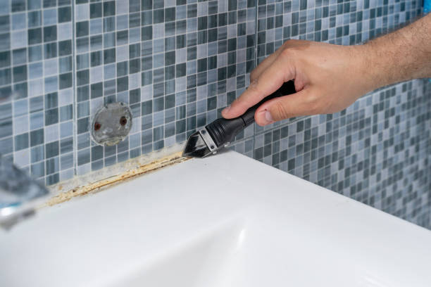 Best Mold Cleaning Services  in Port Washington, NY